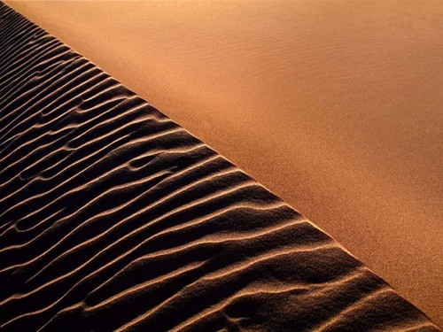  Desert Sand