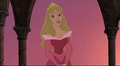 Enchanted Tales: Follow Your Dreams - disney-princess photo