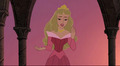 Enchanted Tales: Follow Your Dreams - disney-princess photo