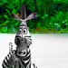 Madagascar - movies icon