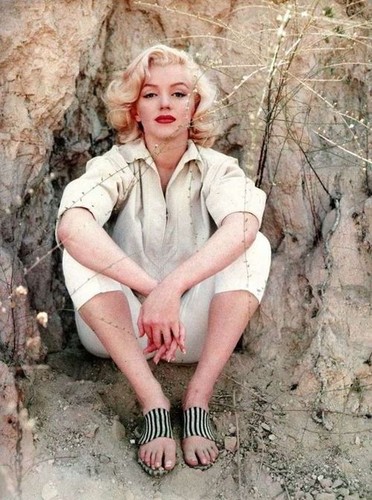  Marilyn shabiki Art