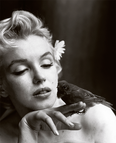  Marilyn peminat Art