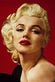 Marilyn Fan Art  - marilyn-monroe fan art