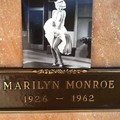Marilyn Fan Art  - marilyn-monroe fan art