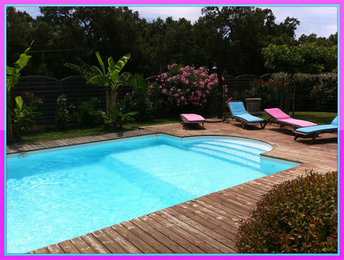 My holidays in Corsica : The swimming pool of our house