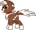 Pets ponified - my-little-pony-friendship-is-magic photo