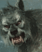 Snarl - werewolves icon
