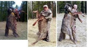  Stop loup Slaughter