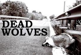 Stop Wolf Slaughter