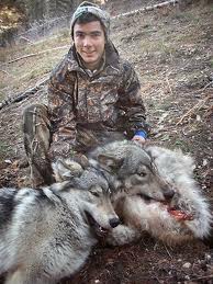  Stop wolf Slaughter
