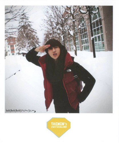  Taemin SHINee's Special Vacation Polaroid Sets