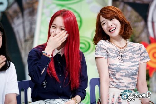  f(x)'s pratonton pictures from KBS' 'Hello'