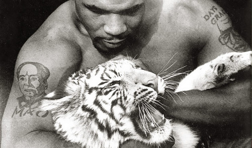  mike tyson and snow tiger