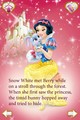 snow white and berry - disney-princess photo