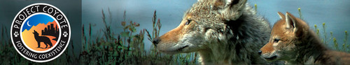  stop loup slaughter