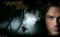the-vampire-diaries - ♥ Damon ♥ wallpaper