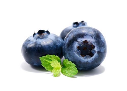 Blueberry ♡