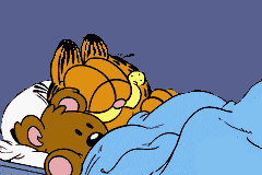  Garfield: The تلاش for Pooky