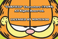 Garfield and his Nine Lives - garfield photo