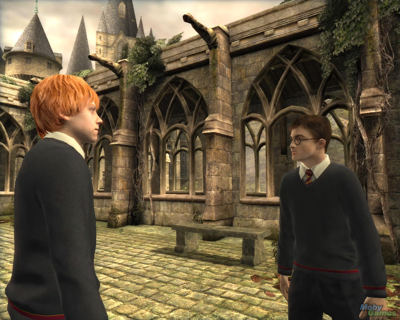 Harry Potter and the Order of the Phoenix (video game) - Harry Potter