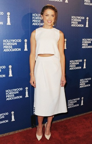  Hollywood Foreign Press Association's 2013 Installation Luncheon