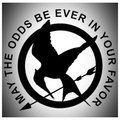 Hunger Games Birthday - the-hunger-games fan art