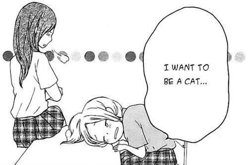  I Want to be a Cat...