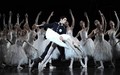 Swan Lake - ballet photo