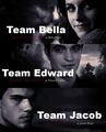 Team Bella/Team Edward/Team Jacob - twilight-series photo