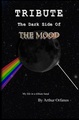 Tribute: The Dark Side of The Mood - pink-floyd photo