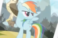 rainbow dash and the falcon - my-little-pony-friendship-is-magic photo