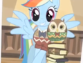 rainbow dash and the owl - my-little-pony-friendship-is-magic photo