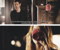 "Well, then. You showed me." - klaus-and-caroline photo