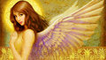 Angel  - fantasy photo