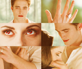 Bella&Edward - twilight-series photo