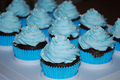 Blue Cupcakes ♥ - cupcakes photo