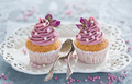 Cupcakes - cupcakes photo