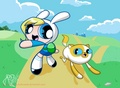 Fionna and Cake Power Puff Girls - adventure-time-with-finn-and-jake fan art
