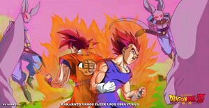  Goku and Vegeta gode mode vs bills