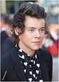 Harry Styles 2013 - one-direction photo