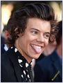Harry Styles  2013 - one-direction photo