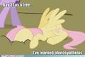 MLP funny pictures - my-little-pony-friendship-is-magic photo