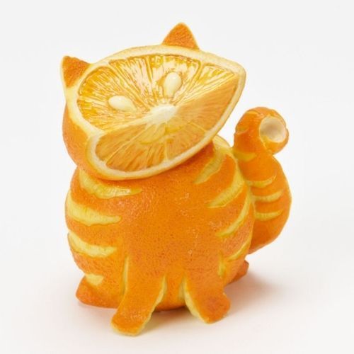Oranges ♡ 