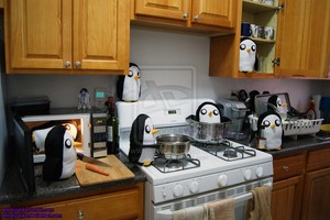  manchot, pingouin Invasion