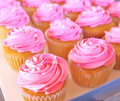 Pink Cupcakes ♥ - cupcakes photo