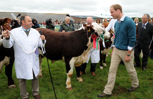  Prince William Visits the Anglesey Show