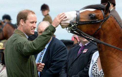 Prince William Visits the Anglesey Show