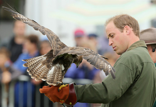 Prince William Visits the Anglesey Show