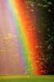 Rainbow~ - random photo