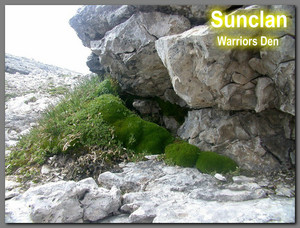  Sunclan Warrior yungib